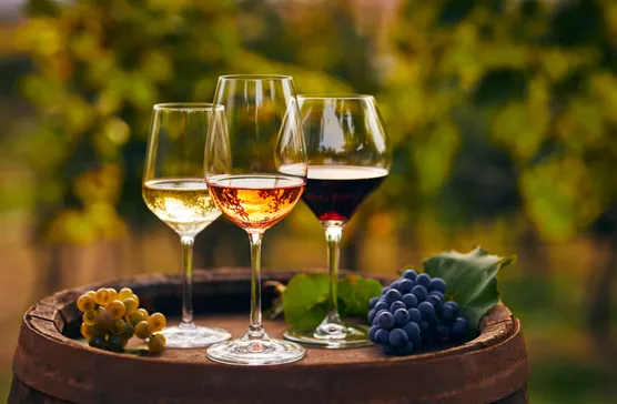 Mimi sul mare excursion Food and Wine Tour